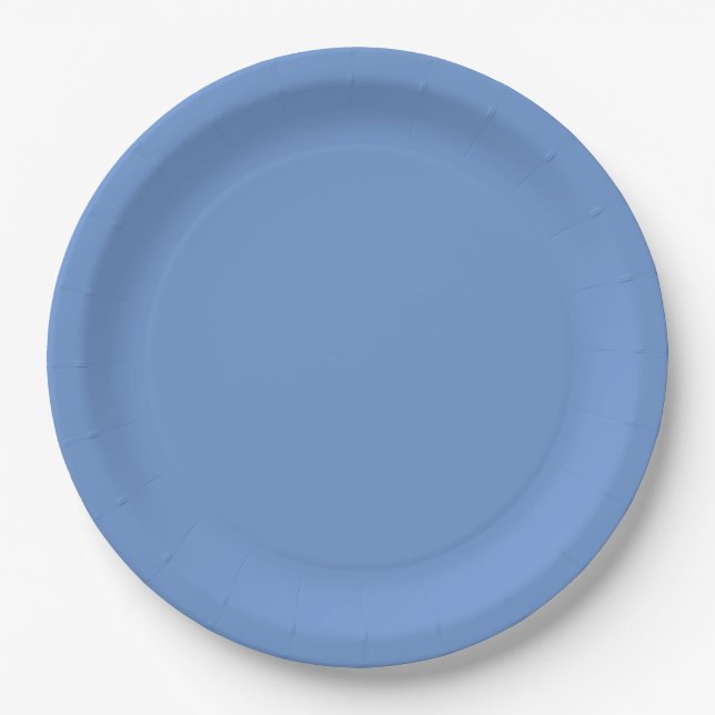 Blue  paper plate (Front)