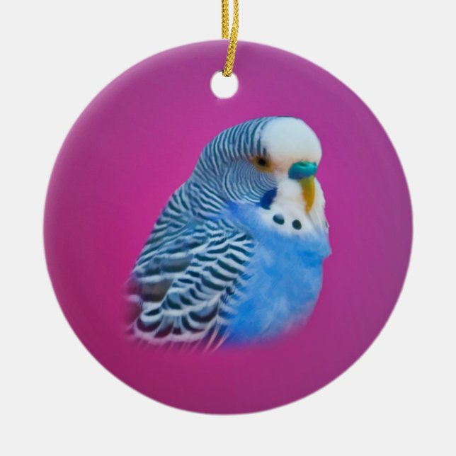 Blue Parakeet Ornament (Front)
