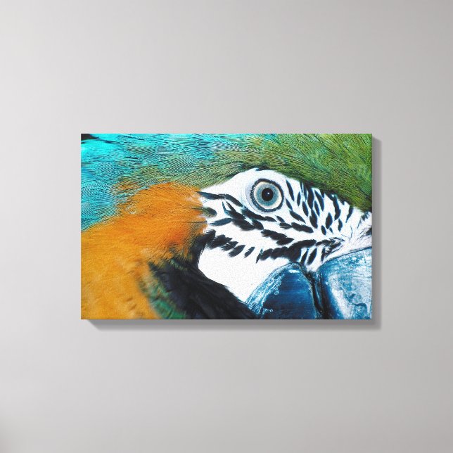 Blue Parrot Canvas Print (Front)