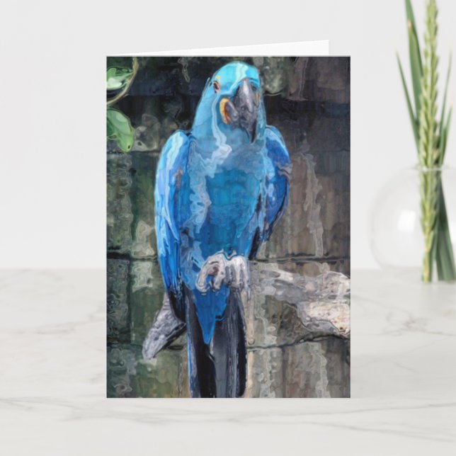 Blue parrot(card) holiday card (Front)