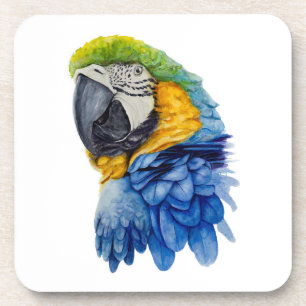 Blue parrot coaster