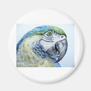 blue parrot magnet