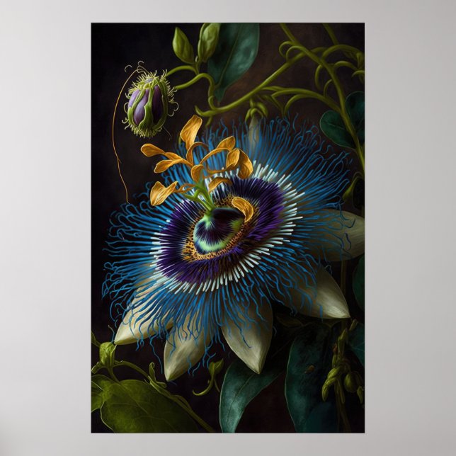 Blue Passion Flower Art Print Poster (Front)