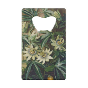 Blue Passion Flower for the 'Temple of Flora' by R