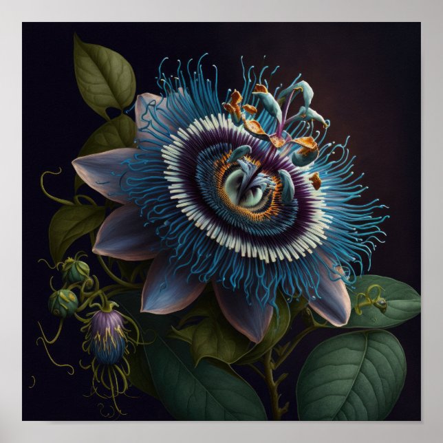 Blue Passion Flowers Art Print Poster (Front)