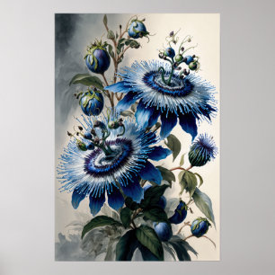 Blue Passion Flowers Art Print Poster