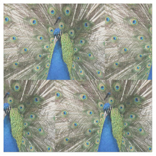 Blue Peacock Fabric