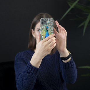 Blue Peacock Feather Plumage