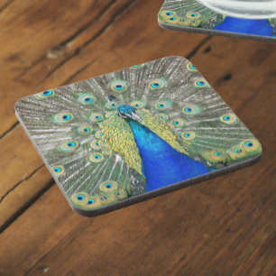 Blue Peacock Feather Plumage Coaster