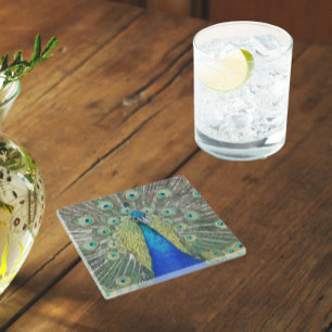 Blue Peacock Feather Plumage Glass Coaster