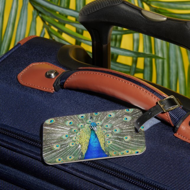 Blue Peacock Feather Plumage Luggage Tag (Front Insitu 3)