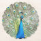 Blue Peacock Feather Plumage