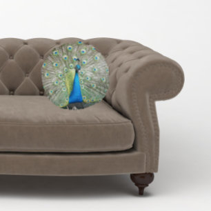 Blue Peacock Feather Plumage Photo Round Cushion