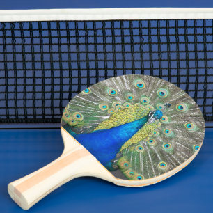 Blue Peacock Feather Plumage Ping Pong Paddle