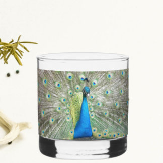Blue Peacock Feather Plumage Whiskey Glass