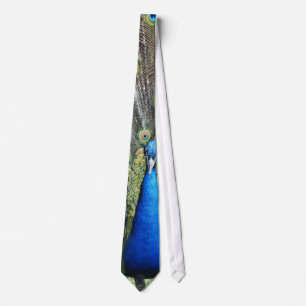 Blue Peacock Full Plumage Tie