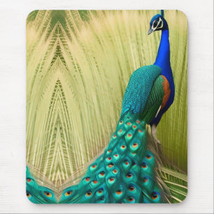 Blue Peacock in grass Mouse Pad