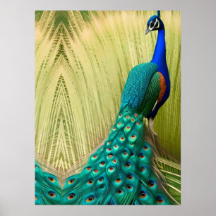 Blue Peacock in grass  Poster