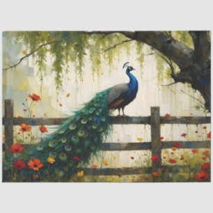 Blue Peacock on Split rail fence Tissue Paper