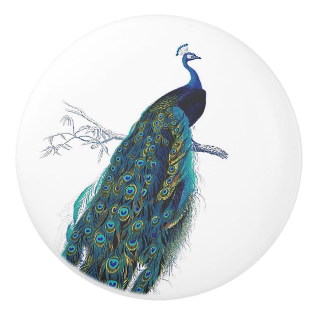 Blue Peacock with beautiful tail feathers Ceramic Knob (Front)