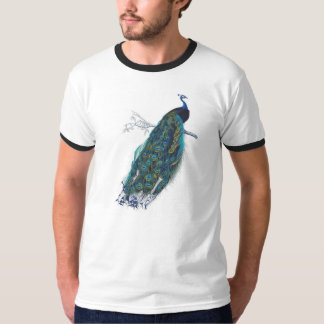Blue Peacock with beautiful tail feathers T-Shirt