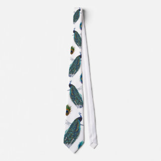 Blue Peacock with beautiful tail feathers Tie