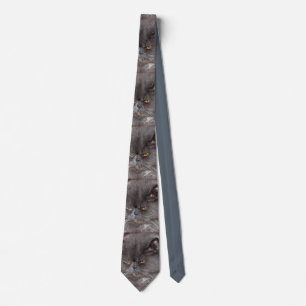 blue persian tie