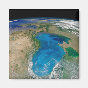 Blue Phytoplankton Bloom In The Black Sea Magnet