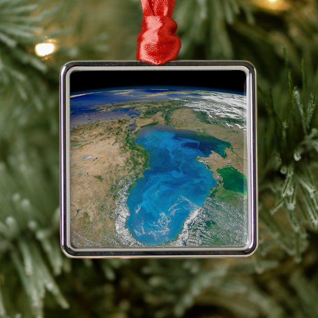 Blue Phytoplankton Bloom In The Black Sea Metal Tree Decoration (Tree)