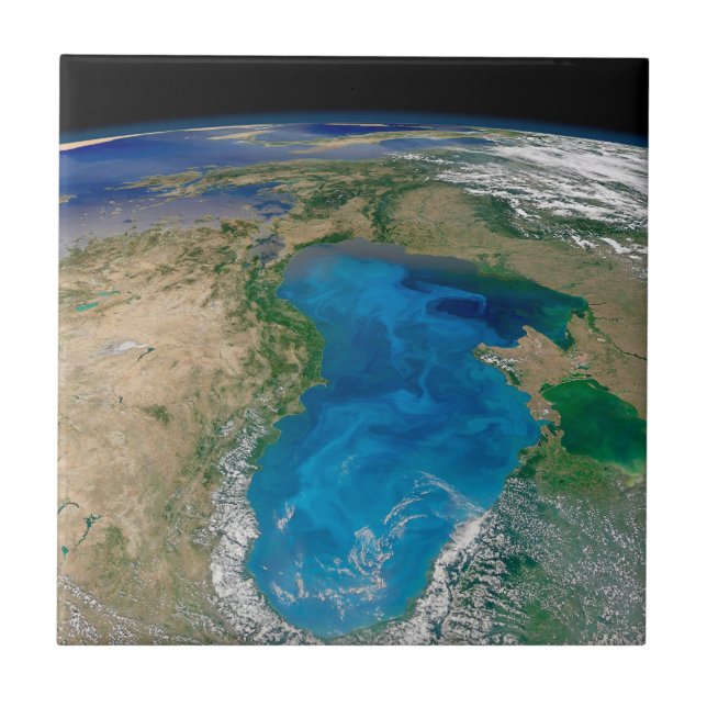 Blue Phytoplankton Bloom In The Black Sea Tile (Front)