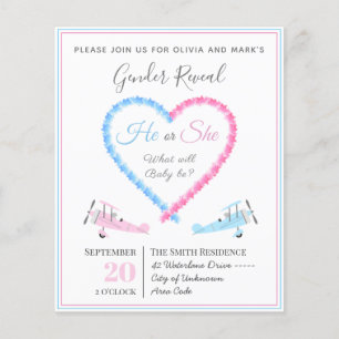 Blue Pink Love Heart Smoke Aeroplane Gender Reveal
