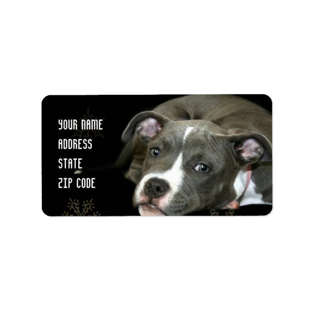 Blue pitbull puppy address labels (Front)