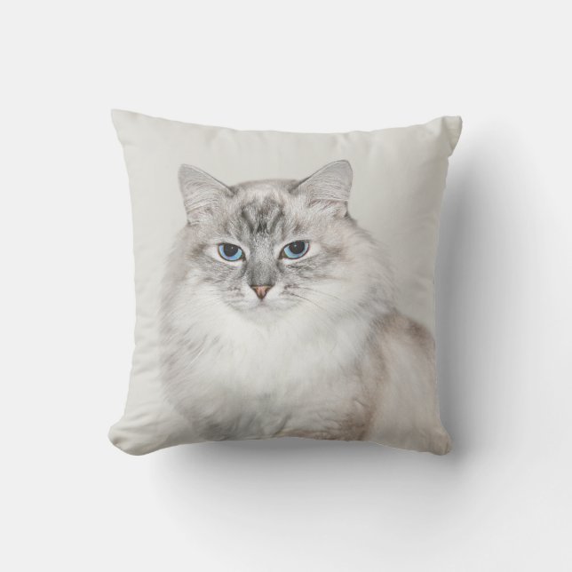 Blue point Himalayan cat Cushion (Front)