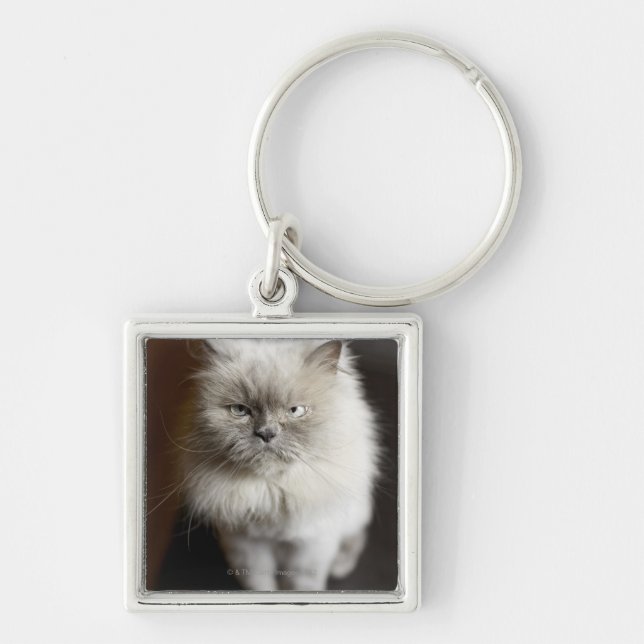 Blue Point Himalayan Cat looking irritated Key Ring (Front)