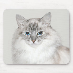 Blue point Himalayan cat Mouse Pad