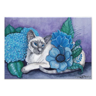 Blue Point Siamese Photo Print