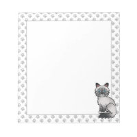 Blue Point Tabby Birman / Ragdoll Cute Cat & Paws