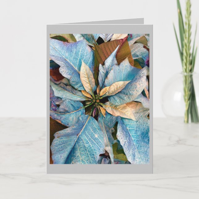 Blue Pointsettia Holiday Card (Front)