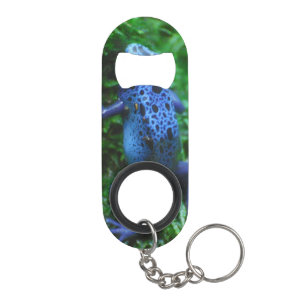 Blue Poison Arrow Frog