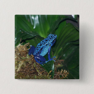 Blue Poison Arrow Frog Portrait 15 Cm Square Badge