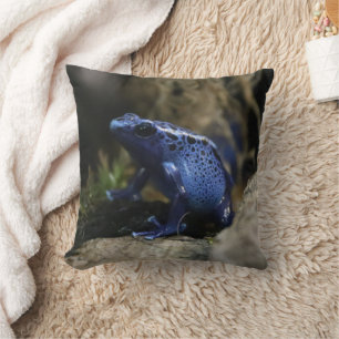 Blue Poison Arrow Frog Tarot Card Deck Cushion