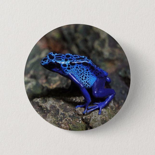 Blue Poison Dart Frog, Bright Blue Frog 6 Cm Round Badge (Front)