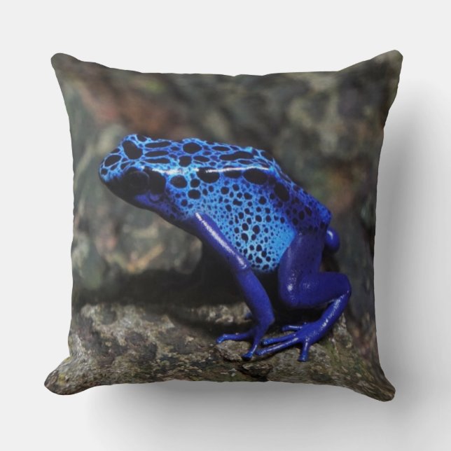 Blue Poison Dart Frog, Bright Blue Frog Cushion (Front)