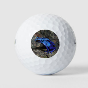 Blue Poison Dart Frog, Bright Blue Frog Golf Balls