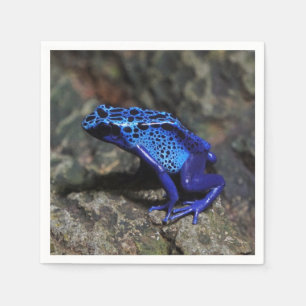 Blue Poison Dart Frog, Bright Blue Frog Napkin
