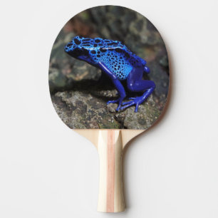 Blue Poison Dart Frog, Bright Blue Frog Ping Pong Paddle