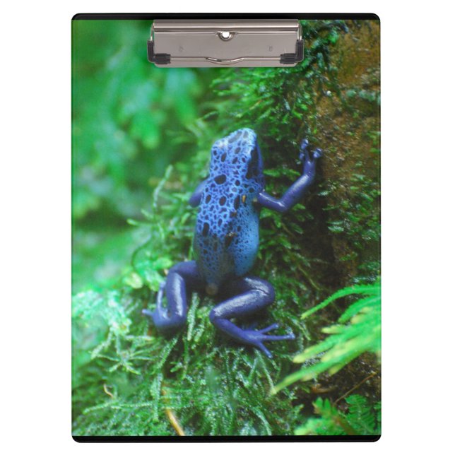 Blue Poison Dart Frog Clipboard (Front)