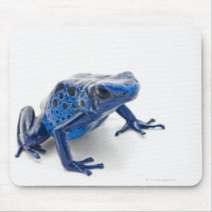 Blue Poison Dart Frog (Dendrobates Tinctorius) Mouse Pad