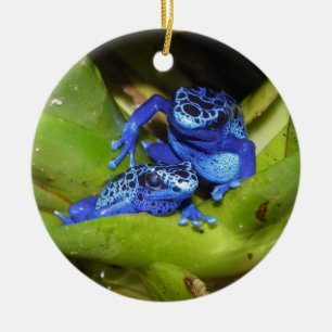 Blue Poison Dart Frogs In Leaf 1 Ceramic Tree Decoration