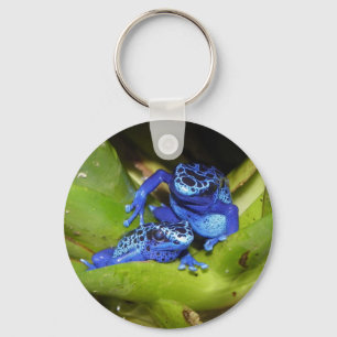 Blue Poison Dart Frogs In Leaf 1 Key Ring